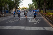 D3313471