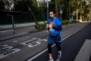 T3313684
