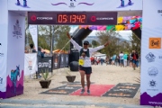 V3333999