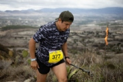 C3329880