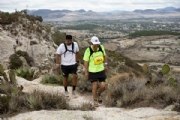 K3330313