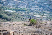 E3329301