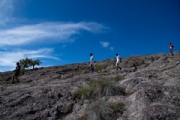 P3329218