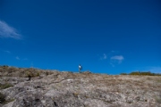 P3329405