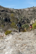 O3327427