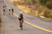 I3371460