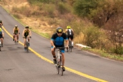 O3371350