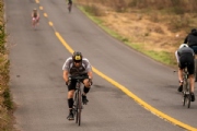 R3371432