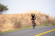 X3373174
