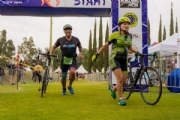 O3388455