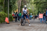 W3388361