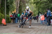 W3388363