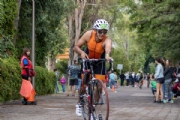 Y3387461