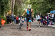 Y3387665