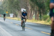 D3375846