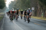 E3378009