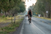 G3376150