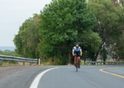 J3377416