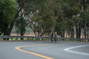 M3377413