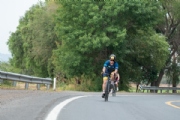 N3377017