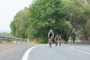 O3375881