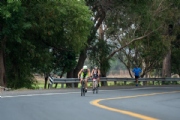P3376259