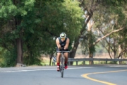 Q3378078