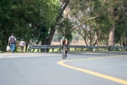 R3375901