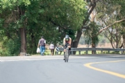 R3376059