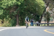 R3376134