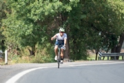 R3376508