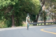 R3376555