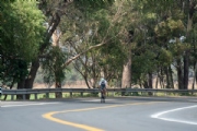 R3377122