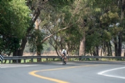 R3377173
