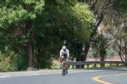 R3377175