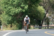 R3377194