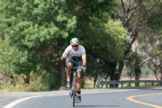 R3377220
