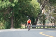 R3377514