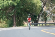 R3377546
