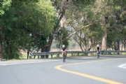 R3377605
