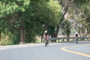 R3377654