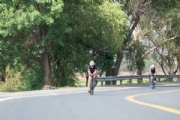 R3377663