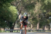 S3376117