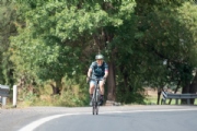 S3378339