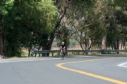 V3377983
