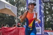 W3379652