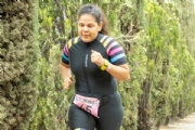 Y3382616