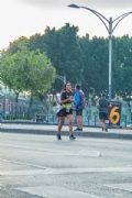 V3391340