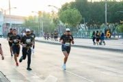 W3236668