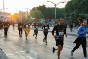 Y3236737
